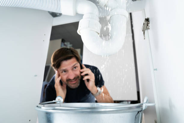 Best Sewer Line Repair  in Norris City, IL