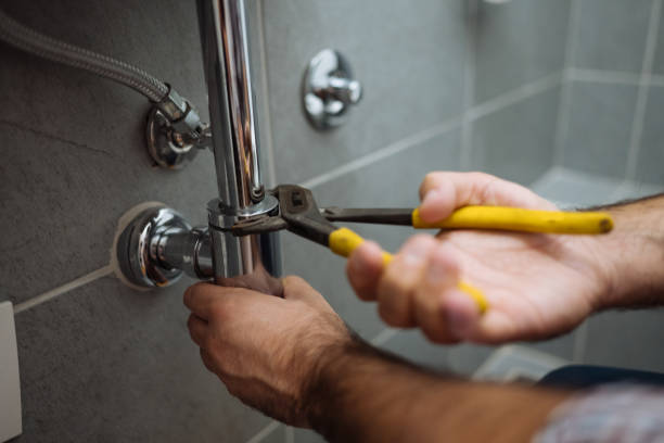 Best Residential Plumbing Services  in Norris City, IL