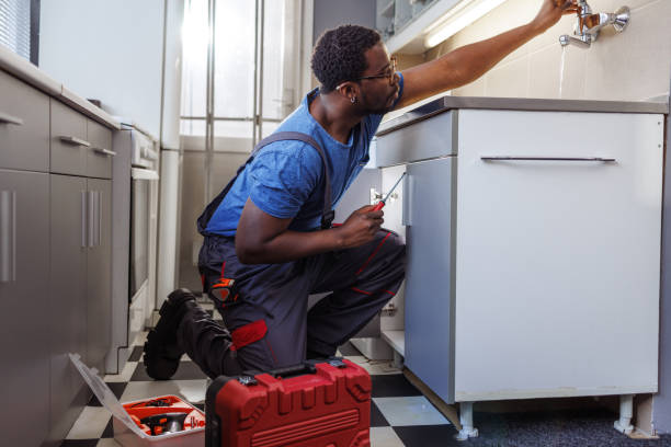 Best Toilet Repair Services  in Norris City, IL