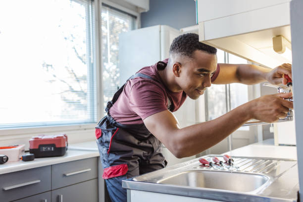 Best Commercial Plumbing Services  in Norris City, IL