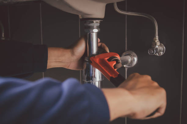 Best Commercial Plumbing Services  in Norris City, IL
